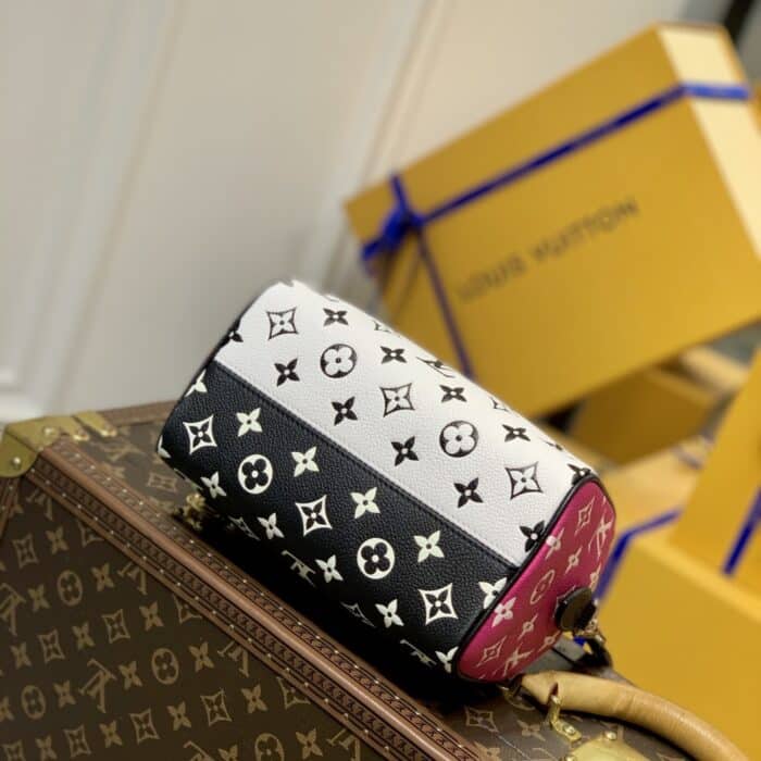 Louis Vuitton Speedy Bandouliere 20.5cm M46088 - Image 8