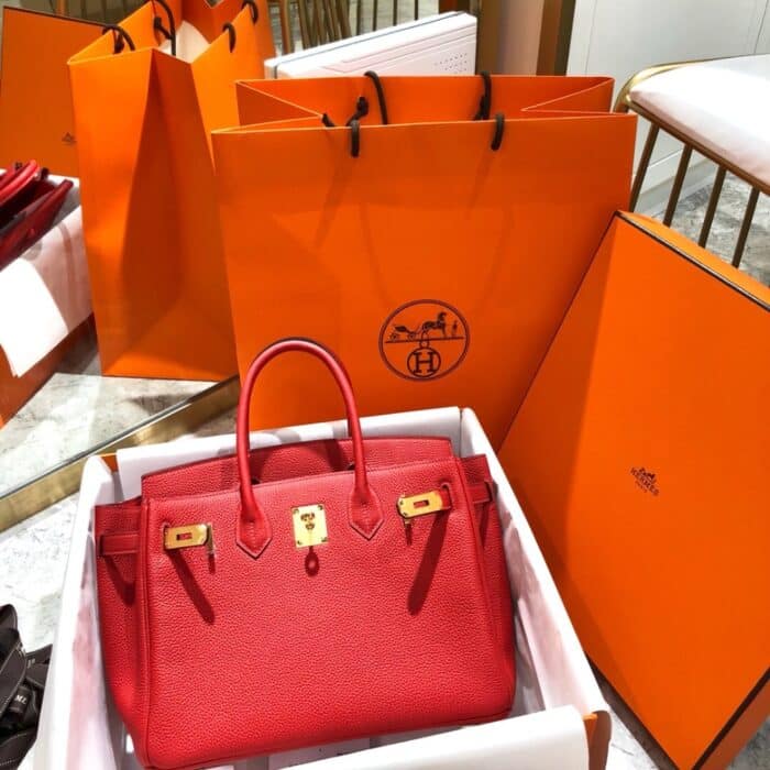 Hermes Birkin 25 Bag Togo Rouge Vermillon 25cm - Image 2