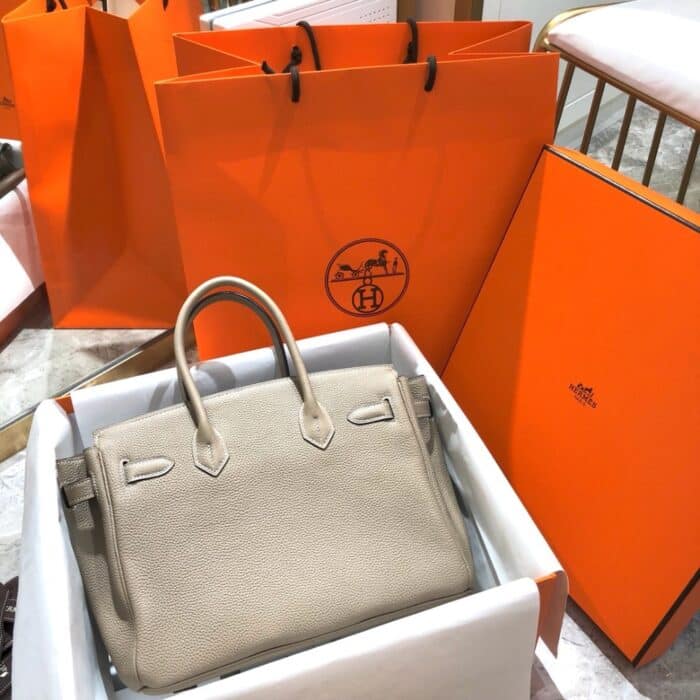 Hermes Birkin Togo Silver Hardware Etoupe Grey 25cm - Image 3