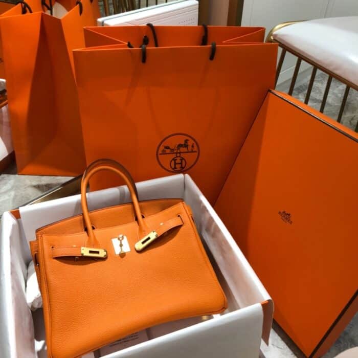 Hermes Birkin 25 Bag Togo Orange 25cm - Image 6