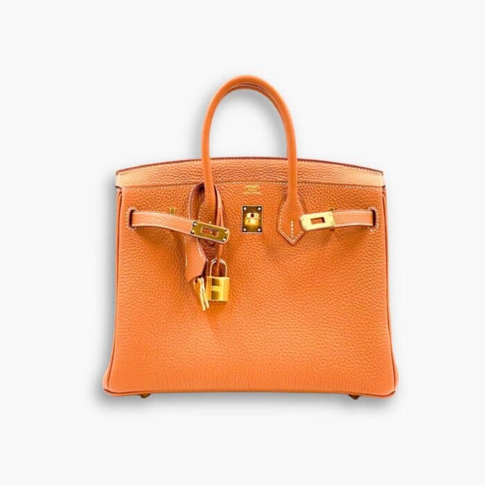 Hermes Birkin 25 Bag Togo Orange 25cm