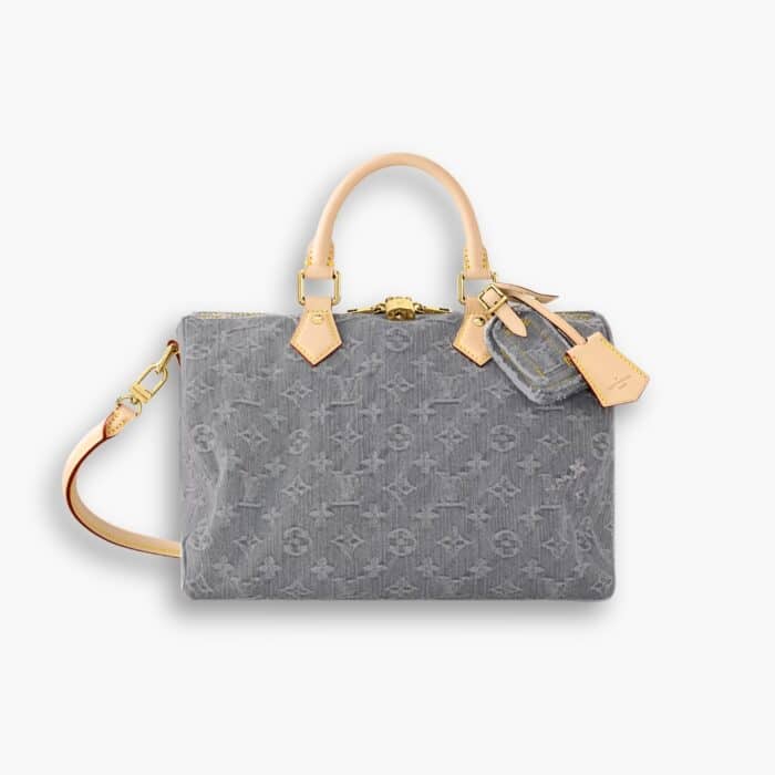 Louis Vuitton Speedy Soft 30 Washed Gray 30cm M13344