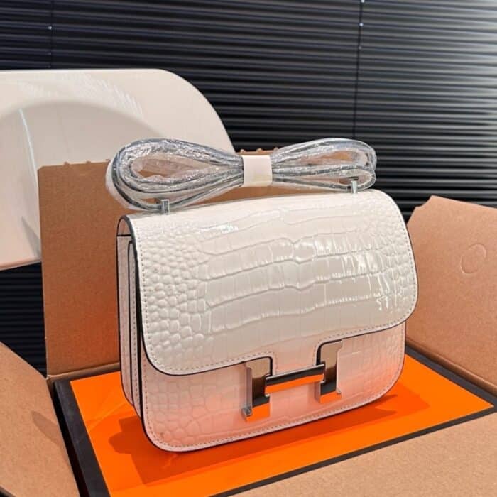 Hermès Mini Constance 19 Shiny Alligator White Palladium Hardware - Image 2