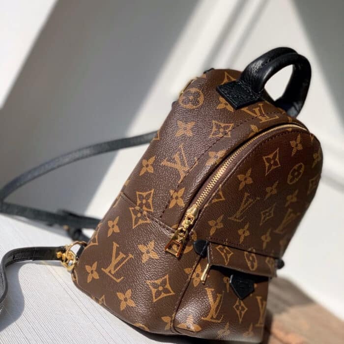Louis Vuitton Monogram Palm Springs Mini Backpack Brown 22cm M44873 - Image 3