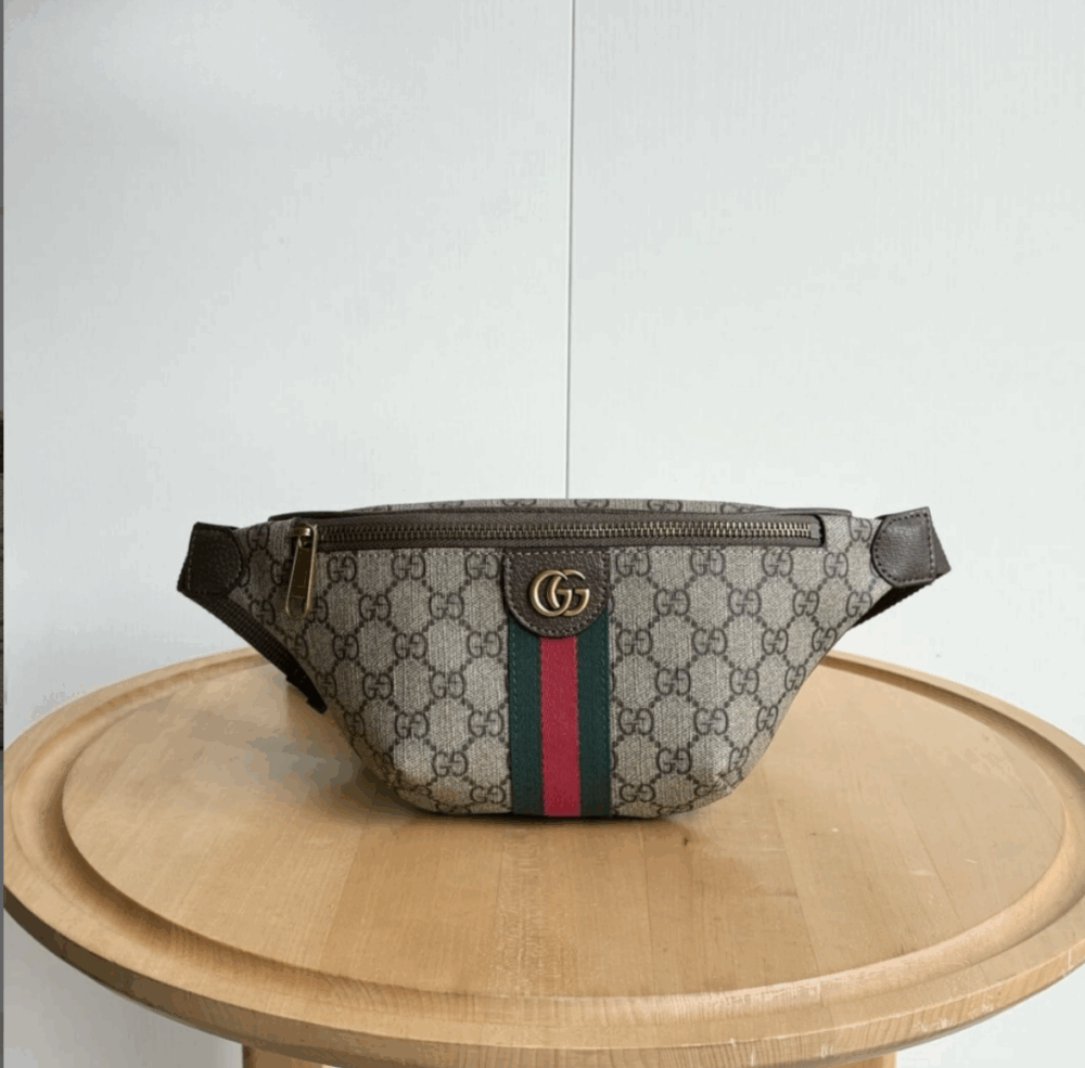 Alternative view of Gucci Ophidia Small Belt Bag Beige And Dark Brown 30Cm ‎‎‎839106 FAEOF 9745