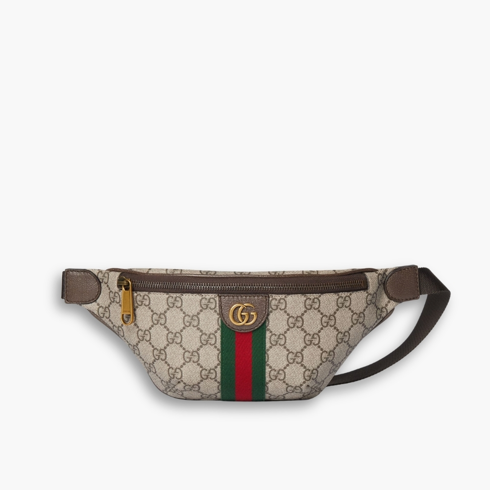 Gucci Ophidia Small Belt Bag Beige And Dark Brown 30Cm ‎‎‎839106 FAEOF 9745