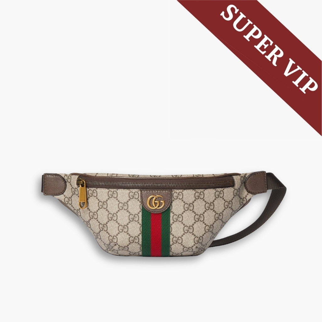 Super Vip 1:1 - Gucci Ophidia Small Belt Bag Beige And Dark Brown 30Cm 839106 FAEOF 9745