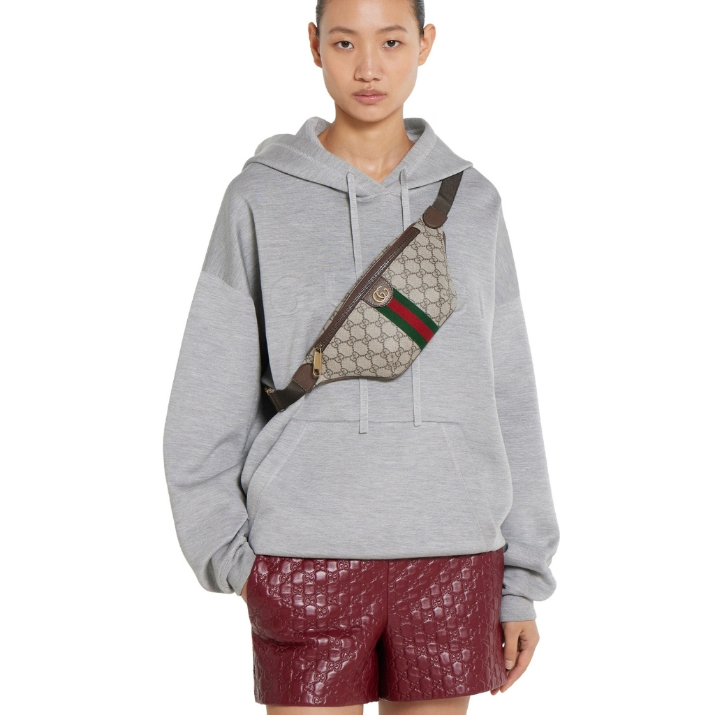 Super Vip 1:1 - Gucci Ophidia Small Belt Bag Beige And Dark Brown 30Cm 839106 FAEOF 9745 - Image 11