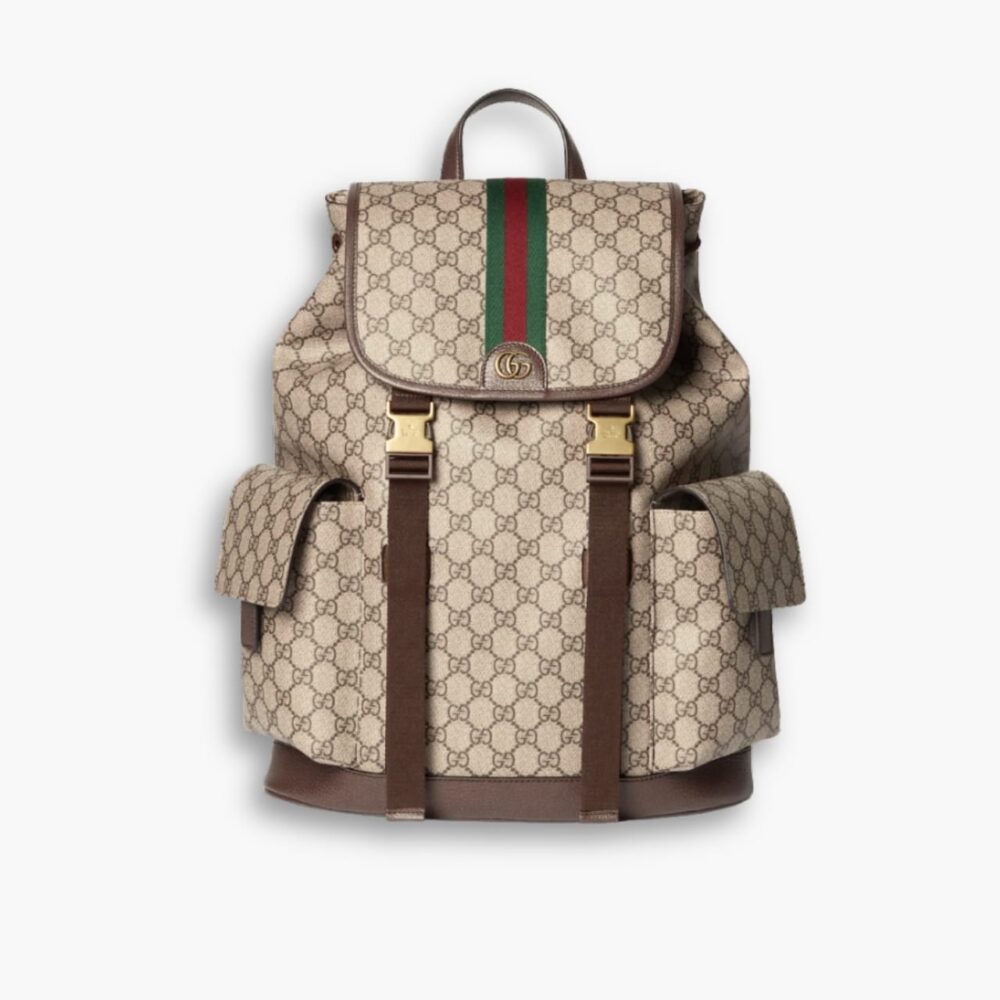 Gucci Ophidia Large Backpack Beige And Dark Brown 46Cm 839110 FAEWQ 9845