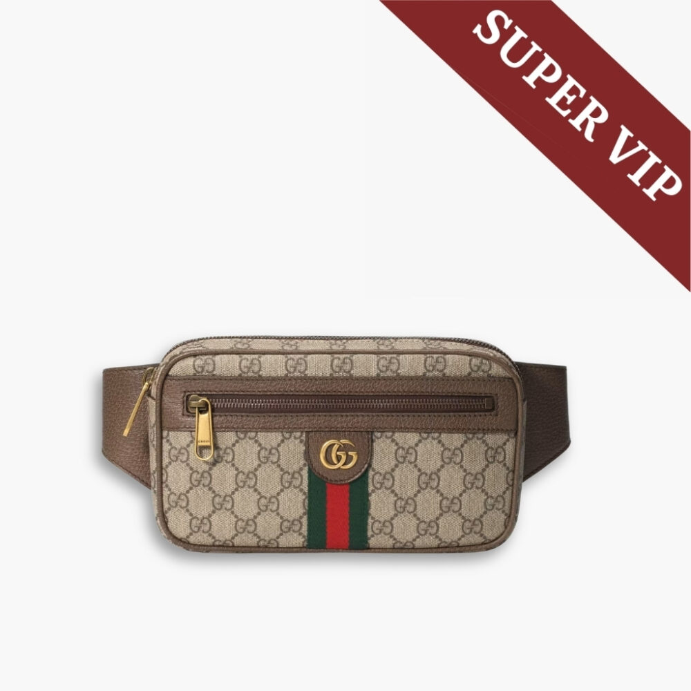 Super Vip 1:1 - Gucci Ophidia Small Belt Bag Beige 24cm 574796 97SIT 8747