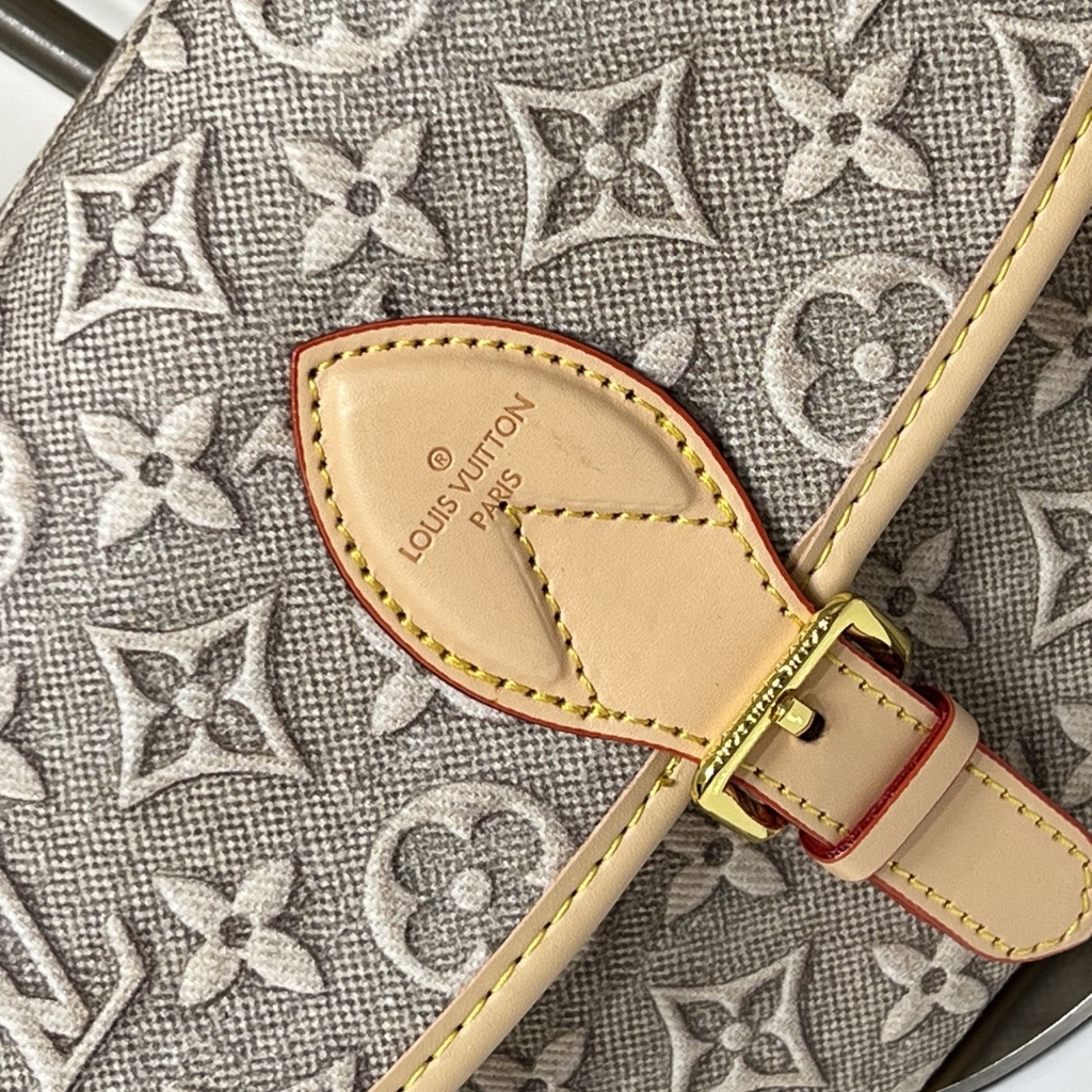 Louis Vuitton Diane PM Monogram Emblème Shoulder Bag Gray 24cm M29795 - Image 6